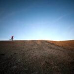 気になる株の状況と、今日の気になる記事20231115