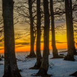 無料で利用できるオフィスソフト『LibreOffice』